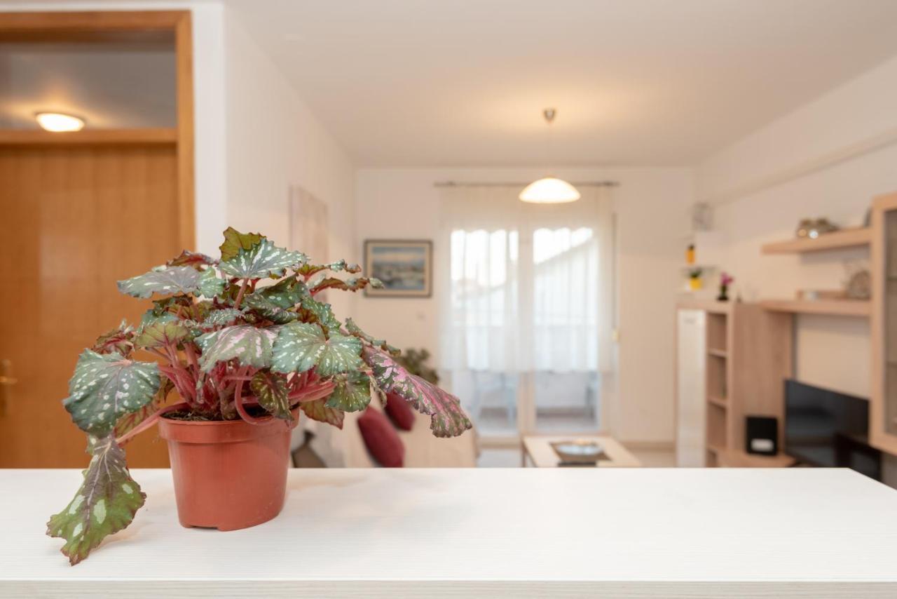 Apartman Valter Zadar Exterior foto